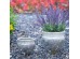 Artekko Uma Κασπώ από Τερακότα Ασημί/Γκρι (20,3x20,3x19,1)cm Σετ/2 Artekko Uma Κασπώ από Τερακότα Ασημί/Γκρι (20,3x20,3x19,1)cm Σετ/2