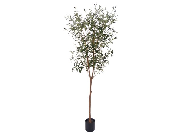 Artekko Verde Πράσινο Τεχνητό Δέντρο Ελιάς σε Γλάστρα 180cm Artekko Verde Πράσινο Τεχνητό Δέντρο Ελιάς σε Γλάστρα 180cm