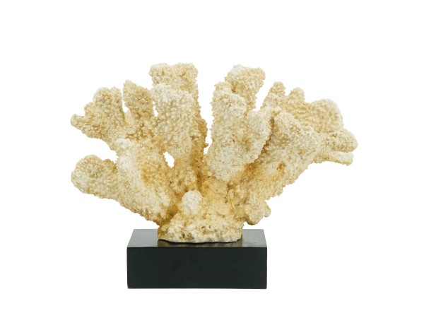 Artekko Coral Διακοσμητικό Κοράλλι σε Βάση Ρητίνη/Ξύλο Μπεζ (28x18x22)cm