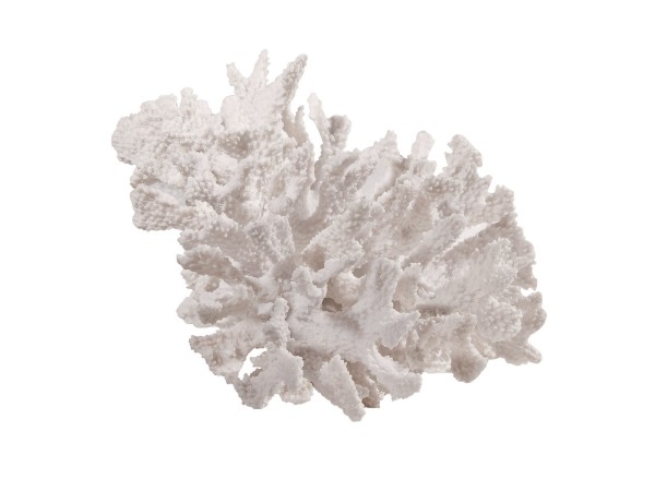 Artekko Coral Διακοσμητικό Κοράλλι Ρητίνη Λευκό (24.1x21.6x17.5)cm Artekko Coral Διακοσμητικό Κοράλλι Ρητίνη Λευκό (24.1x21.6x17.5)cm