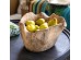 Artekko Hobart Φρουτίερα από Φυσική Ρίζα Τικ (35x30x20)cm Artekko Hobart Φρουτίερα από Φυσική Ρίζα Τικ (35x30x20)cm