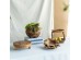 Artekko Woody Μπολ Διακοσμητικό από Ξύλο Teak (30x30x5)cm Σετ/2 Artekko Woody Μπολ Διακοσμητικό από Ξύλο Teak (30x30x5)cm Σετ/2