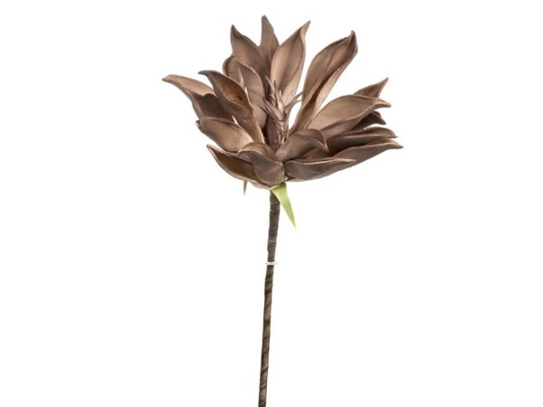 Artekko Διακοσμητικός Τεχνητός Καφέ Λωτός 63cm Artekko Διακοσμητικός Τεχνητός Καφέ Λωτός 63cm