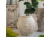 Artekko Antique Μπεζ Βάζο με Παλαίωση από Μαγνήσιο (44.5x44.5x47)cm Artekko Antique Μπεζ Βάζο με Παλαίωση από Μαγνήσιο (44.5x44.5x47)cm