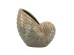 Artekko Glazed Πράσινο Κεραμικό Κασπό Κοχύλι (22x11.5x21)cm Artekko Glazed Πράσινο Κεραμικό Κασπό Κοχύλι (22x11.5x21)cm