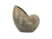 Artekko Glazed Πράσινο Κεραμικό Κασπό Κοχύλι (22x11.5x21)cm Artekko Glazed Πράσινο Κεραμικό Κασπό Κοχύλι (22x11.5x21)cm