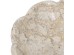 Artekko Marble Μπεζ Μαρμάρινο Μπολ (25x25x7.5)cm Artekko Marble Μπεζ Μαρμάρινο Μπολ (25x25x7.5)cm