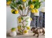 Artekko Lemon Εκρού Κεραμικό Βάζο Δοχείο με Καπάκι και Λεμόνια (22x22x37.5)cm Artekko Lemon Εκρού Κεραμικό Βάζο Δοχείο με Καπάκι και Λεμόνια (22x22x37.5)cm