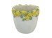 Artekko Lemon Εκρού Τσιμεντένιο Βάζο με Λεμόνια (19.5x19.5x19)cm Artekko Lemon Εκρού Τσιμεντένιο Βάζο με Λεμόνια (19.5x19.5x19)cm