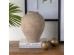 Artekko Antique Βάζο από Τερακότα (24x24x28)cm Artekko Antique Βάζο από Τερακότα (24x24x28)cm