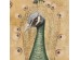 Artekko Canvasia Χρυσός Πίνακας με Παγώνι σε Καμβά (78x3.5x118)cm