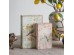 Artekko Book Πολύχρωμα Διακοσμητικά Βιβλία MDF με Αποθηκευτικό Χώρο 2pcs Artekko Book Πολύχρωμα Διακοσμητικά Βιβλία MDF με Αποθηκευτικό Χώρο 2pcs