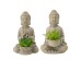 Artekko Buddha Διακοσμητικός Βούδας με Φυτό Τσιμεντένιο Χρυσό Σετ/2 (16.9x11.1x18.6)cm Artekko Buddha Διακοσμητικός Βούδας με Φυτό Τσιμεντένιο Χρυσό Σετ/2 (16.9x11.1x18.6)cm