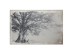 Artekko Batteoct Πίνακας Καμβάς ΑσπρόΜαύρος Δέντρο (150x100x4)cm