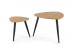 NICEA 2, set of two coffee tables, color: golden oak / black DIOMMI V-CH-NICEA_2-LAW
