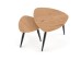 NICEA 2, set of two coffee tables, color: golden oak / black DIOMMI V-CH-NICEA_2-LAW