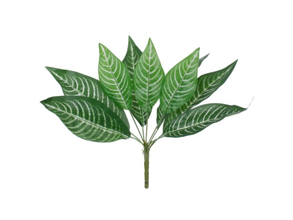 MADAGASCAR JEWEL 78274 Τεχνητό Φυτό Ευφορβία - Μπουκέτο Διακοσμητικών Φυτών - Κλαδιών με Φύλλωμα Πράσινο Υ35cm MADAGASCAR JEWEL 78274 Τεχνητό Φυτό Ευφορβία - Μπουκέτο Διακοσμητικών Φυτών - Κλαδιών με Φύλλωμα Πράσινο Υ35cm