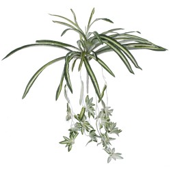 SPIDER PLANT 78217 Τεχνητό Φυτό Χλωρόφυτο - Μπουκέτο Διακοσμητικών Φυτών