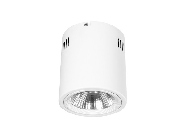 GloboStar® 999-0003 Φωτιστικό Σποτ Οροφής Downlight 15W 1500lm 24° AC 220-240V IP20 Ψυχρό Λευκό 6000K GloboStar® 999-0003 Φωτιστικό Σποτ Οροφής Downlight 15W 1500lm 24° AC 220-240V IP20 Ψυχρό Λευκό 6000K