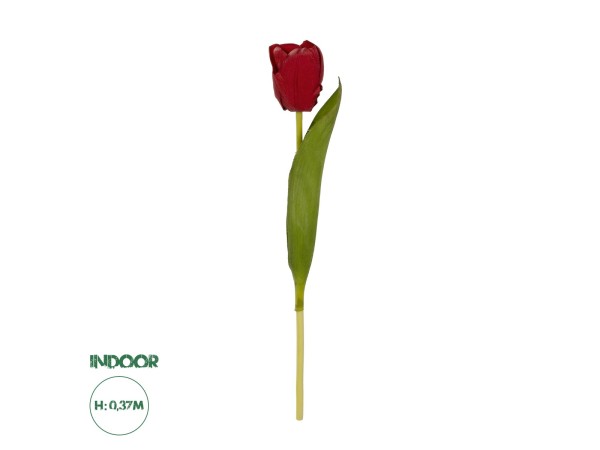 GloboStar® Artificial Garden RED TULIP BRANCH 21203 Τεχνητό Διακοσμητικό Κλαδί Κόκκινη Τουλίπα Y37cm GloboStar® Artificial Garden RED TULIP BRANCH 21203 Τεχνητό Διακοσμητικό Κλαδί Κόκκινη Τουλίπα Y37cm