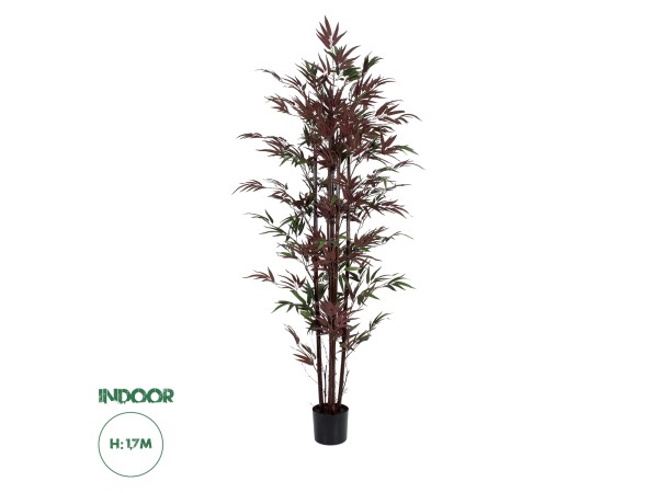 GloboStar® Artificial Garden BLOODLEAF BAMBOO 20039 Τεχνητό Διακοσμητικό Φυτό Αιματόφυλλο Μπαμπού Υ170cm GloboStar® Artificial Garden BLOODLEAF BAMBOO 20039 Τεχνητό Διακοσμητικό Φυτό Αιματόφυλλο Μπαμπού Υ170cm
