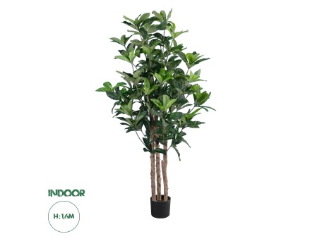 GloboStar® Artificial Garden FORTUNE GUIANA TREE 20056 Τεχνητό Διακοσμητικό Φυτό Καστανιά του Μαλαμπάρ Υ160cm