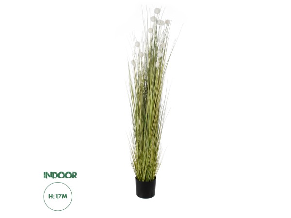 GloboStar® Artificial Garden ERIOPHORUM ANGUSTIFOLIUM COTTON GRASS 20074 Τεχνητό Διακοσμητικό Φυτό Γρασίδι του Βαμβακιού Υ170cm GloboStar® Artificial Garden ERIOPHORUM ANGUSTIFOLIUM COTTON GRASS 20074 Τεχνητό Διακοσμητικό Φυτό Γρασίδι του Βαμβακιού Υ170cm