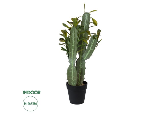 GloboStar® Artificial Garden CEREUS JAMACARU CACTUS 20102 Τεχνητό Διακοσμητικό Φυτό Κάκτος Κηρίος Υ62cm GloboStar® Artificial Garden CEREUS JAMACARU CACTUS 20102 Τεχνητό Διακοσμητικό Φυτό Κάκτος Κηρίος Υ62cm