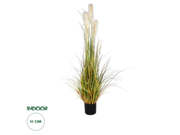 GloboStar® Artificial Garden PAMPAS GRASS 20108 Τεχνητό Διακοσμητικό Φυτό Γρασίδι της Πάμπας Υ150cm GloboStar® Artificial Garden PAMPAS GRASS 20108 Τεχνητό Διακοσμητικό Φυτό Γρασίδι της Πάμπας Υ150cm