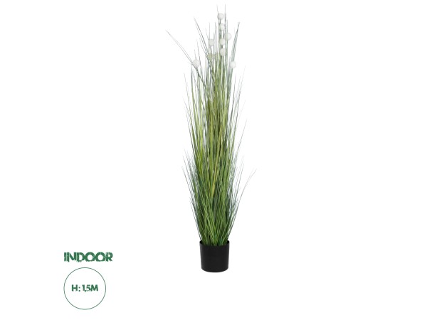 GloboStar® Artificial Garden LAGURUS GRASS 20111 Τεχνητό Διακοσμητικό Φυτό Λαγοουρά Υ150cm GloboStar® Artificial Garden LAGURUS GRASS 20111 Τεχνητό Διακοσμητικό Φυτό Λαγοουρά Υ150cm