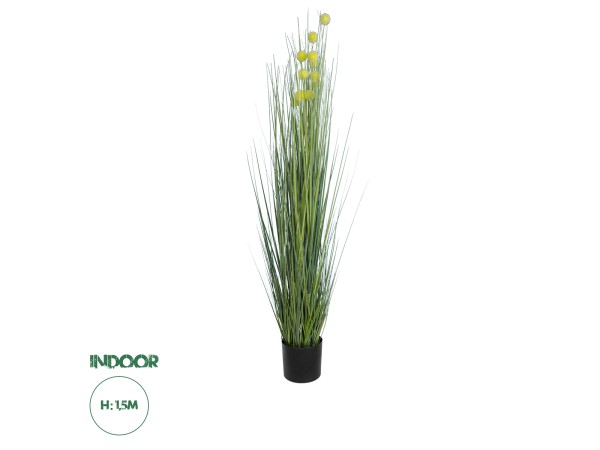 GloboStar® Artificial Garden CRASPEDIA GRASS 20112 Τεχνητό Διακοσμητικό Φυτό Κρασπέδια Υ150cm GloboStar® Artificial Garden CRASPEDIA GRASS 20112 Τεχνητό Διακοσμητικό Φυτό Κρασπέδια Υ150cm