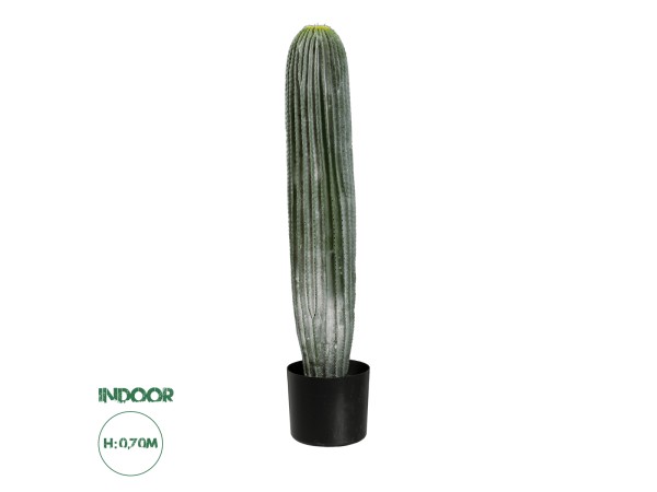 GloboStar® Artificial Garden CARNEGIEA CACTUS 20124 Τεχνητό Διακοσμητικό Φυτό Κάκτος Σαγκουάρο Υ70cm GloboStar® Artificial Garden CARNEGIEA CACTUS 20124 Τεχνητό Διακοσμητικό Φυτό Κάκτος Σαγκουάρο Υ70cm