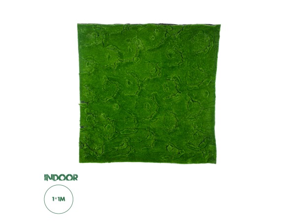 GloboStar® Artificial Garden BRYOPHYTA 20145 Τεχνητό Διακοσμητικό Πάνελ Φυλλωσιάς - Κάθετος Κήπος Βρύα Μ100 x Π100 x Υ3cm GloboStar® Artificial Garden BRYOPHYTA 20145 Τεχνητό Διακοσμητικό Πάνελ Φυλλωσιάς - Κάθετος Κήπος Βρύα Μ100 x Π100 x Υ3cm