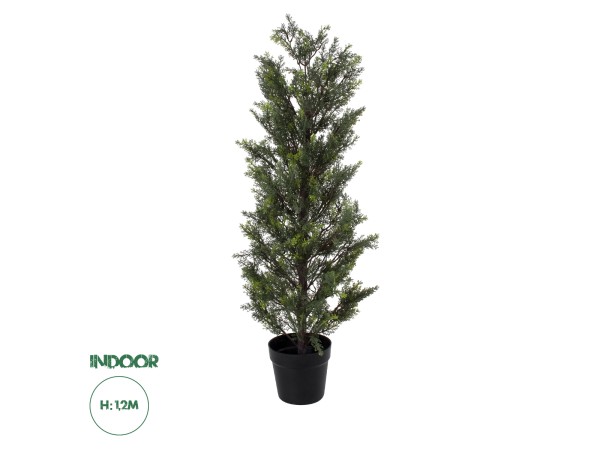 GloboStar® Artificial Garden LEMON CYPRESS 20151 Τεχνητό Διακοσμητικό Φυτό Λεμονόκυπάρισσο Υ120cm GloboStar® Artificial Garden LEMON CYPRESS 20151 Τεχνητό Διακοσμητικό Φυτό Λεμονόκυπάρισσο Υ120cm