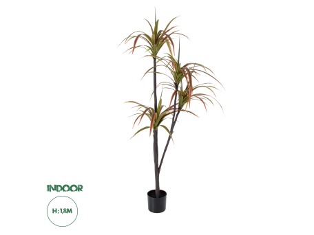 GloboStar® Artificial Garden DRAGON BLOOD TREE 20372 - Τεχνητό Διακοσμητικό Φυτό Δράκαινα Υ180cm