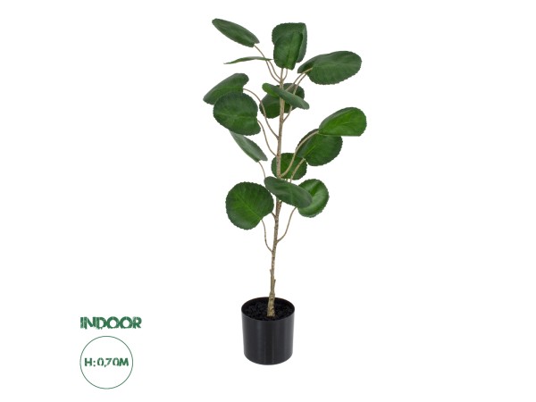 GloboStar® Artificial Garden POLYSCIAS BALFOURIANA TREE 20373 Τεχνητό Διακοσμητικό Φυτό Πολυσκιά Υ70cm GloboStar® Artificial Garden POLYSCIAS BALFOURIANA TREE 20373 Τεχνητό Διακοσμητικό Φυτό Πολυσκιά Υ70cm