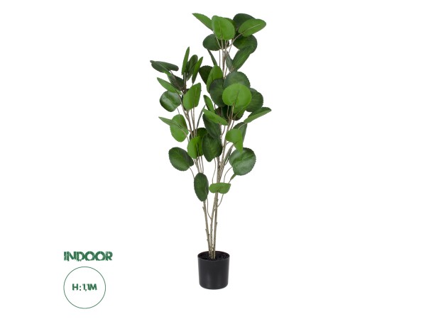 GloboStar® Artificial Garden POLYSCIAS BALFOURIANA TREE 20374 Τεχνητό Διακοσμητικό Φυτό Πολυσκιά Υ110cm GloboStar® Artificial Garden POLYSCIAS BALFOURIANA TREE 20374 Τεχνητό Διακοσμητικό Φυτό Πολυσκιά Υ110cm