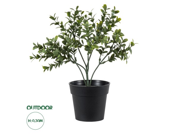 GloboStar® Artificial Garden BUXUS 20388 Τεχνητό Διακοσμητικό Φυτό Πυξός Υ30cm