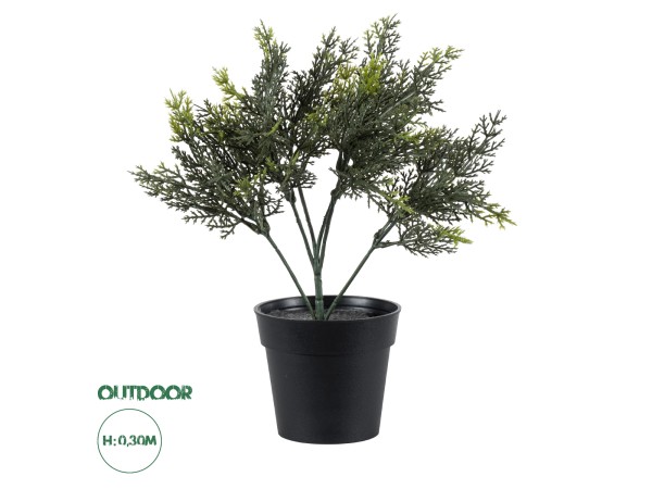 GloboStar® Artificial Garden LEMON CYPRESS 20389 Τεχνητό Διακοσμητικό Φυτό Λεμονόκυπάρισσο Υ30cm GloboStar® Artificial Garden LEMON CYPRESS 20389 Τεχνητό Διακοσμητικό Φυτό Λεμονόκυπάρισσο Υ30cm