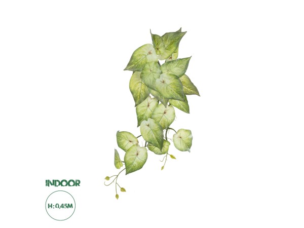 GloboStar® Artificial Garden SYNGONIUM HANGING PLANT 20598 Τεχνητό Διακοσμητικό Κρεμαστό Φυτό Συγκόνιο Υ50cm GloboStar® Artificial Garden SYNGONIUM HANGING PLANT 20598 Τεχνητό Διακοσμητικό Κρεμαστό Φυτό Συγκόνιο Υ50cm