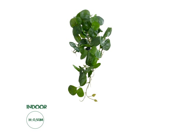 GloboStar® Artificial Garden HANGING PEPEROMIA 20599 Τεχνητό Διακοσμητικό Κρεμαστό Φυτό Πεπερόμια Μ30 x Π31 x Υ50cm