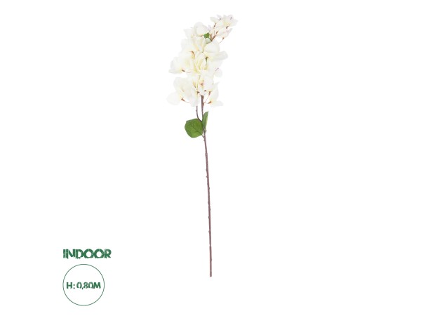 GloboStar® Artificial Garden BOUGAUVILLEA BRANCH 20659 Τεχνητό Διακοσμητικό Κλαδί Μπουκανβίλιας Λευκή Y80cm GloboStar® Artificial Garden BOUGAUVILLEA BRANCH 20659 Τεχνητό Διακοσμητικό Κλαδί Μπουκανβίλιας Λευκή Y80cm