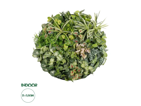 GloboStar® Artificial Garden VARIOUS PLANTS ROUND WALL DISC 20690 Τεχνητό Διακοσμητικό Στρογγυλό Πάνελ Φυλλωσιάς - Κάθετος Κήπος Μιξ Μ80 x Π80 x Υ20cm GloboStar® Artificial Garden VARIOUS PLANTS ROUND WALL DISC 20690 Τεχνητό Διακοσμητικό Στρογγυλό Πάνελ Φυλλωσιάς - Κάθετος Κήπος Μιξ Μ80 x Π80 x Υ20cm