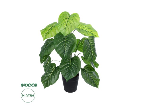 GloboStar® Artificial Garden CALATHEA PLANT 20910 Διακοσμητικό Φυτό Καλαθέα Φ70 x Υ75cm