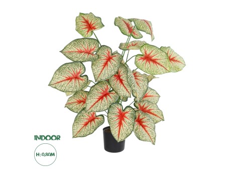 GloboStar® Artificial Garden CALADIUM PLANT 20921 Διακοσμητικό Φυτό Καλάντιουμ Φ75 x Υ80cm