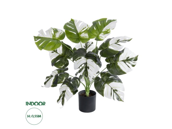 GloboStar® Artificial Garden ALBINO MONSTERA PLANT 20935 - Διακοσμητικό Φυτό Λευκή Μονστέρα Φ60 x Υ55cm GloboStar® Artificial Garden ALBINO MONSTERA PLANT 20935 - Διακοσμητικό Φυτό Λευκή Μονστέρα Φ60 x Υ55cm