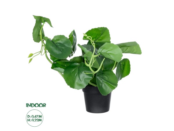 GloboStar® Artificial Garden BELL PLANT 20957 Διακοσμητικό Φυτό Σεφλέρα Φ47 x Υ22cm GloboStar® Artificial Garden BELL PLANT 20957 Διακοσμητικό Φυτό Σεφλέρα Φ47 x Υ22cm