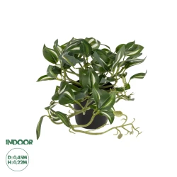 GloboStar® Artificial Garden ZEBRINA PLANT 20960 Διακοσμητικό Φυτό Ζεμπρίνα Φ45 x Υ22cm