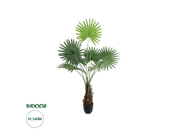 GloboStar® Artificial Garden SERENOA PALM PLANT 20971 Διακοσμητικό Φυτό Φοίνικα Σερενόα Φ60 x Υ140cm GloboStar® Artificial Garden SERENOA PALM PLANT 20971 Διακοσμητικό Φυτό Φοίνικα Σερενόα Φ60 x Υ140cm