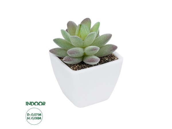 GloboStar® Artificial Garden SUCCULENT SEDEVERIA POTTED PLANT 20975 Διακοσμητικό Φυτό Φοίνικα Σερενόα Φ7 x Υ8cm GloboStar® Artificial Garden SUCCULENT SEDEVERIA POTTED PLANT 20975 Διακοσμητικό Φυτό Φοίνικα Σερενόα Φ7 x Υ8cm